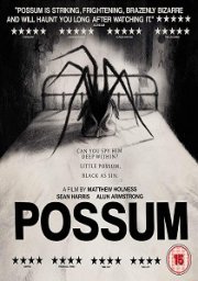 Possum