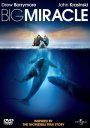 Big Miracle